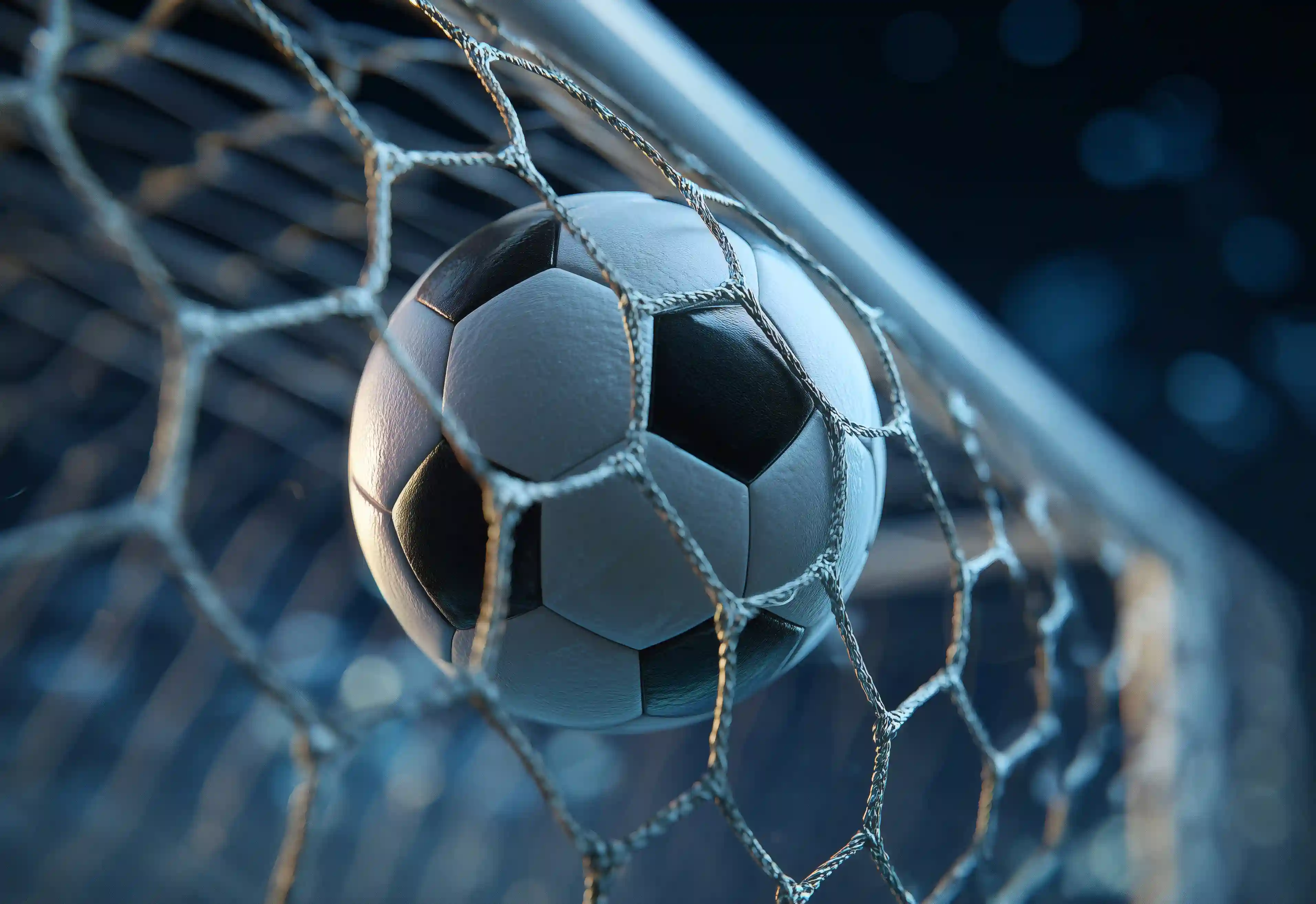 Contact Sewa - Darts